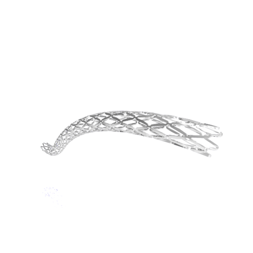 Stent Everolimus-.png